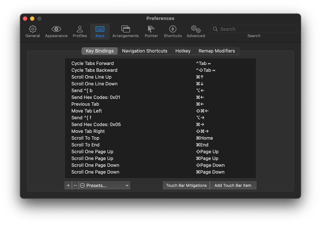 iTerm2 Preferences panel on Key Bindings tab of Keys section.